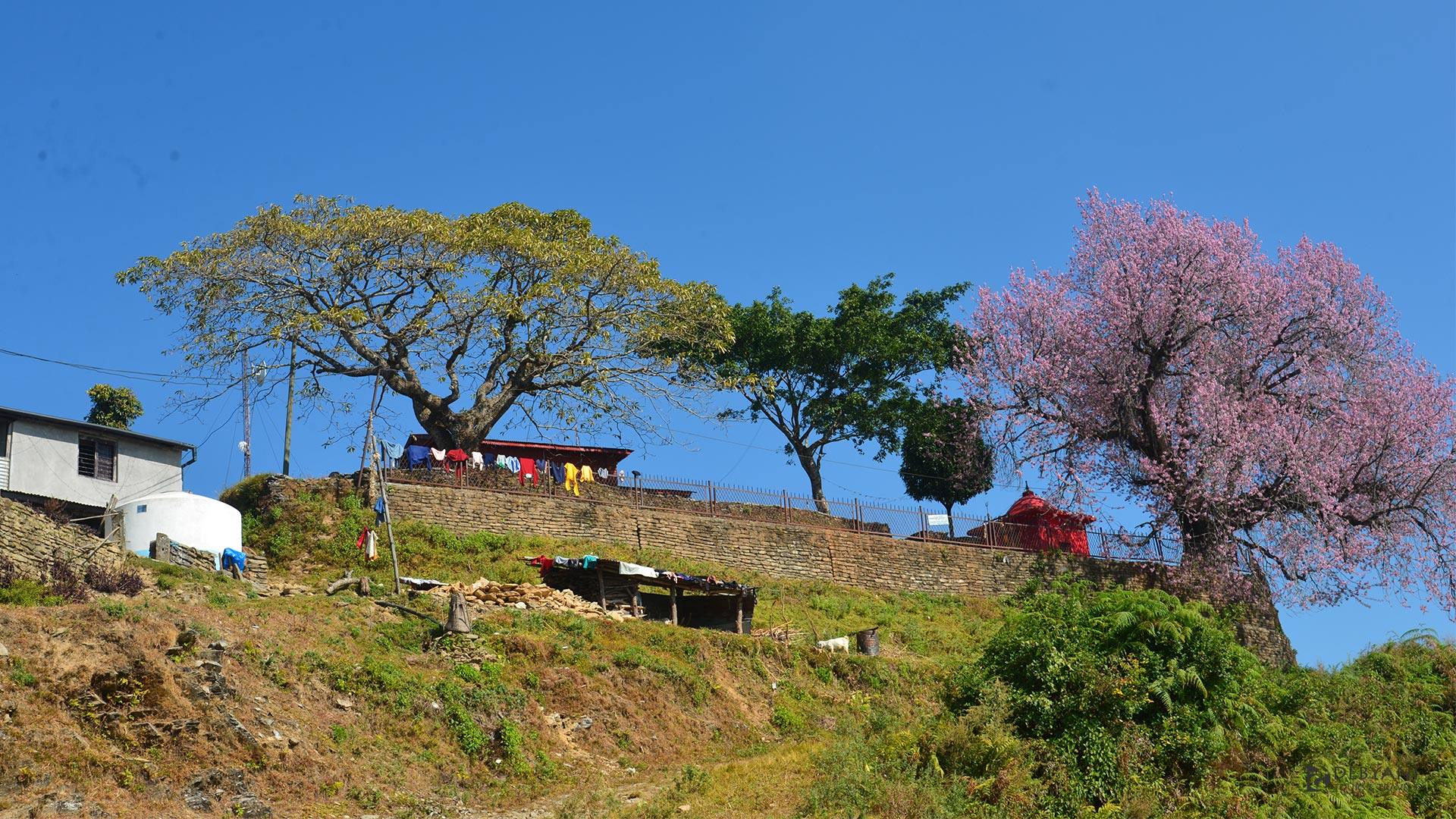 Bhairab Mandir-Thulakot, Pokhara-28